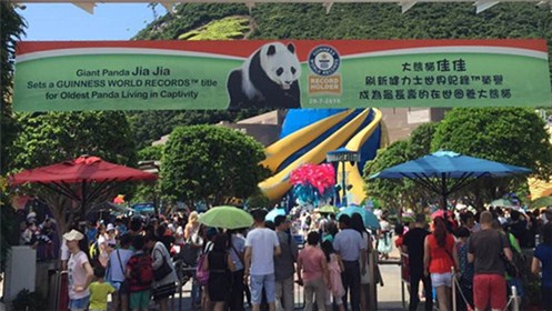 香港海洋公园庆贺大熊猫佳佳刷新世界纪录